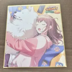 2026年最新】花里みのり 色紙の人気アイテム - メルカリ