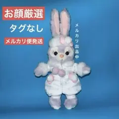ステラルー ケープコッド トゥウィンクル ウィンター