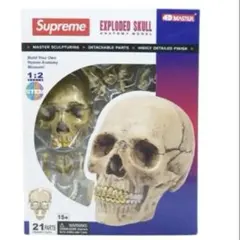 Supreme 4D MASTER EXPLODED SKULL 模型 - メルカリ