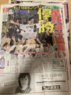 Item thumbnail for item d2e85e56-bfcd-4856-b837-c8685852a561