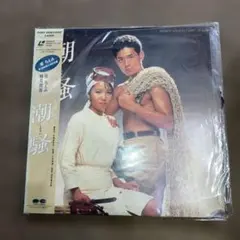 2026年最新】潮騒 堀ちえみの人気アイテム - メルカリ