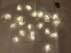 LED フォトクリップ 20灯 3m