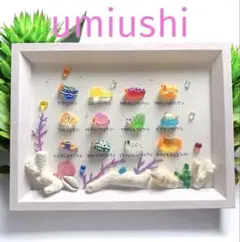 ウミウシ立体図鑑❣️シーグラスアート　ミニチュア　海の生き物　海の宝石