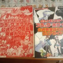 ポケットモンスターブラック・ホワイト 公式完全ぼうけんクリアガイド