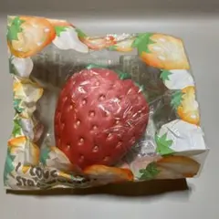 BLOOMスクイーズ strawberryのサムネイル