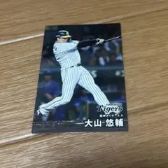 阪神タイガース大山