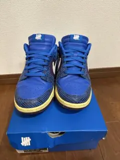 Nike Dunk Low Undefeated 10 (US)