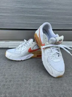NIKE ナイキ エアマックス エクシー 25.5cm DJ2000-100