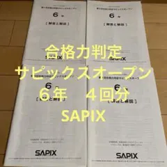 合格力判定 サピックスオープン 4回セット【未使用品あり】原本 合格力判定 サピックスオープン 4回セット【未使用品あり】原本 2026年