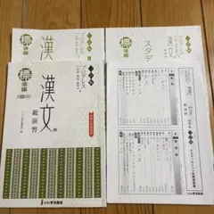 プログレス漢文総演習 完成編 スタディポイント別冊解答集つき いいず
