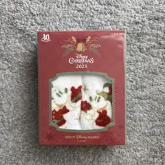ディズニー　40周年　クリスマス　ミニタオル　2枚セット　2023 今治タオル