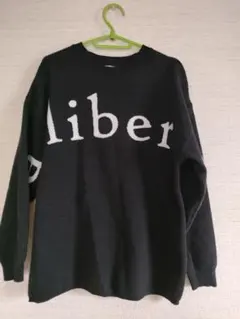 Item thumbnail for item 5544eade-8e1e-414d-ac48-9b930967a2db