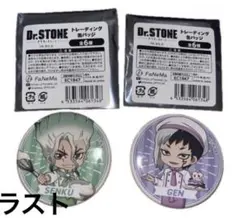 Dr.stone 中国限定 デコレクション缶バッジ ゲン ジャンプショップ