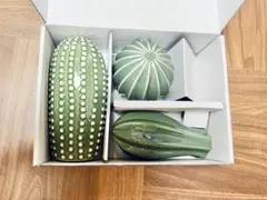 IKEAイケアSJÄLSLIGTシェルスリグト/サボテン陶器オブジェ3点セット