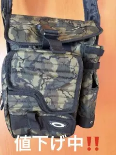 Item thumbnail for item 62a3ead1-7f1d-4d94-8b13-32c37801974d