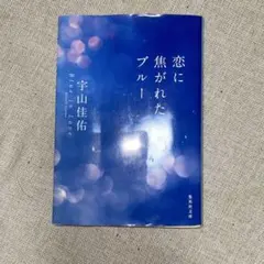 恋に焦がれたブルー 宇山佳佑