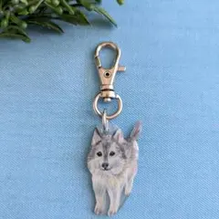 Item thumbnail for item 314ba8f0-3446-434e-b65b-28b74f640e37