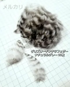 グリズリーチンチラフェザー ナチュラルグレー 鳥の羽根