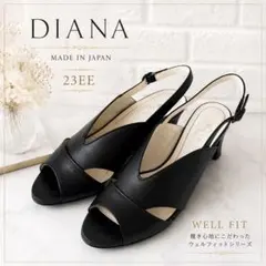 【美品】ダイアナウェルフィット 黒サンダル 23EE ストラップチャンキーヒール