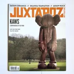 JUXTAPOZ 184号 2016年5月号 KAWS 特集 - メルカリ