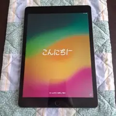 iPad 第9世代（スペースグレー 良好）