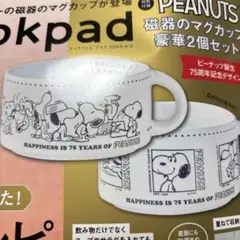 PEANUTS スヌーピー 陶器のマグカップ 2個セット