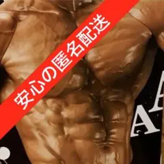 【新品】MUSCLE STARS PIECE なかやまきんに君 ～りそうの姿～②