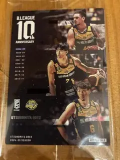 Item thumbnail for item 215a9cfc-3f1d-4d3d-a628-d62b2836731f