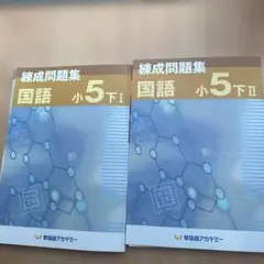 2026年最新】練成問題集 小5国語の人気アイテム - メルカリ