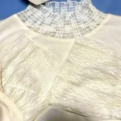 新品未使用☆キナリ☆襟袖フリルカットソー☆ブラウス☆チュニック☆ブラウス襟