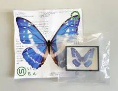 2026年最新】ドイツ箱の人気アイテム - メルカリ