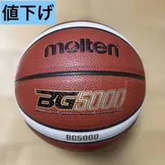 bg5000