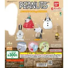 PEANUTS　スヌーピー　めじるしアクセサリー
