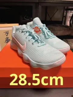 ハイパーダンク2017 ロー HYPERDUNK 2017 LOW EP 30㎝ - メルカリ