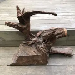 Item thumbnail for item fcfff2f0-bc8f-40b7-891d-a4d329fb86f4