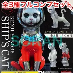 AIPヤノベケンジ SHIP'S CAT ガチャ 全3種フルコンプセット