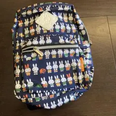 Item thumbnail for item d21c7cca-5d4b-476a-8a38-fa5937329705