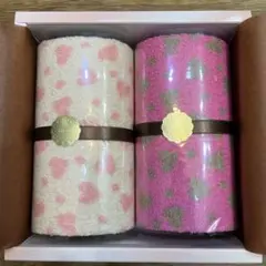 Item thumbnail for item e69016f3-37dd-45eb-9d6a-a4a39561f5e9