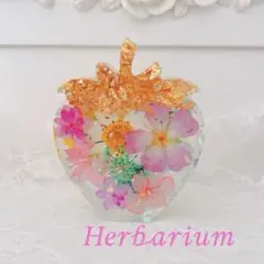 (少々訳あり)いちごの置き物♡ 固まるハーバリウム