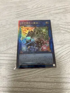 遊戯王 四花繚乱の霊使い
