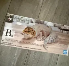 爬虫類＆両生類 一番くじB賞 ヒョウモントカゲモドキ 脱皮中のサムネイル