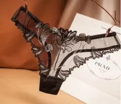 透け透け刺繍　セクシーショーツ Tバック セクシーランジェリー