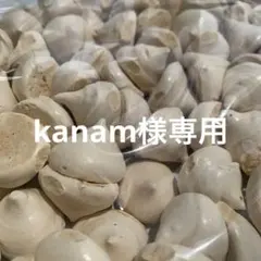 kanam様専用同梱割メレンゲクッキーブラッドオレンジtGH
