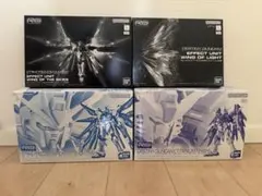 RG ストフリ デスティニー チタニウムフィニッシュ 天空の翼 光の翼 4