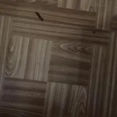 Item thumbnail for item 92d0579d-4ed0-4c6e-950f-e3342636505e