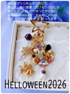 送料込【B級品】秋♪HALLOWEEN先取り♡ゴースト黒×紫×不思議カラーリング
