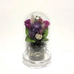 Item thumbnail for item 8599ad0c-1751-403c-94f9-c0927e55774c