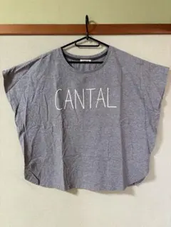 CLOUDNINE CANTALプリントTシャツ グレーのサムネイル