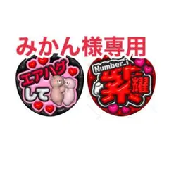 【みかん様専用】リクエスト 2点 まとめ商品