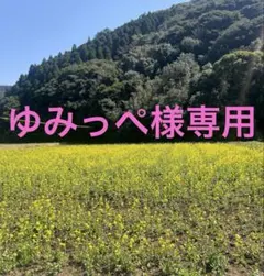 ゆみっぺ様専用ページです